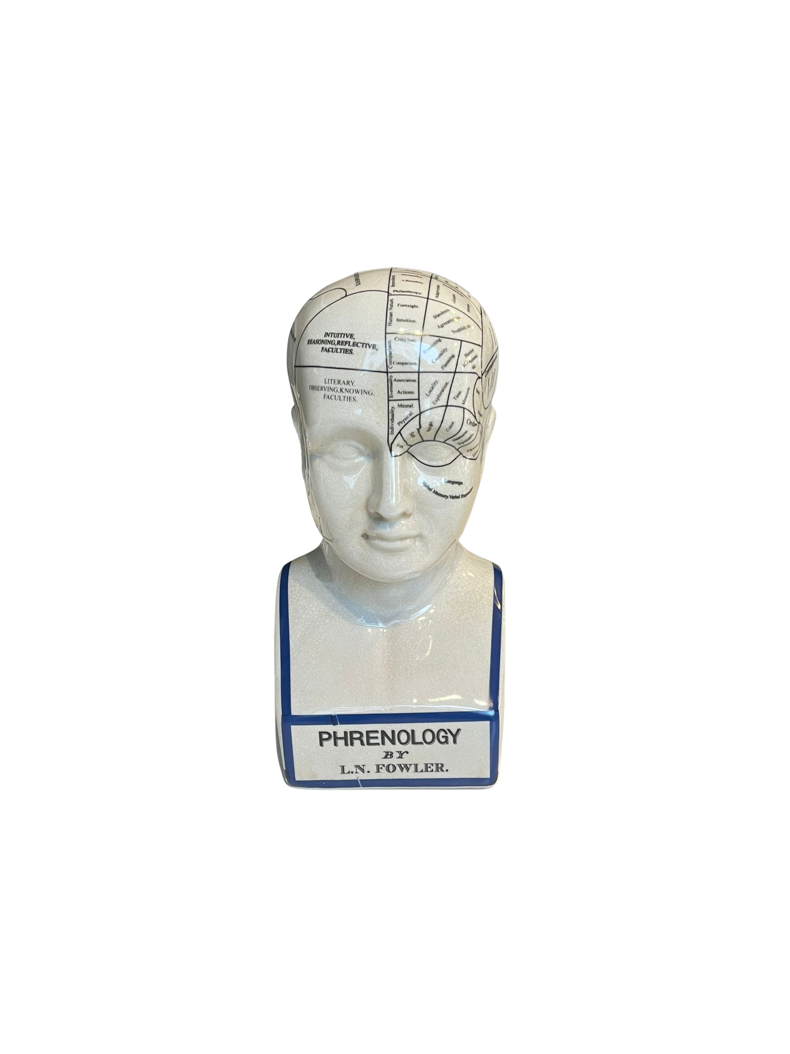 Deko Kopf Phrenologie – Vintage Wohnaccessoire