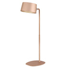 LED Tisch & Wandlampe  S/G (Kopie)
