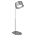 LED Tisch & Wandlampe  S/G (Kopie)
